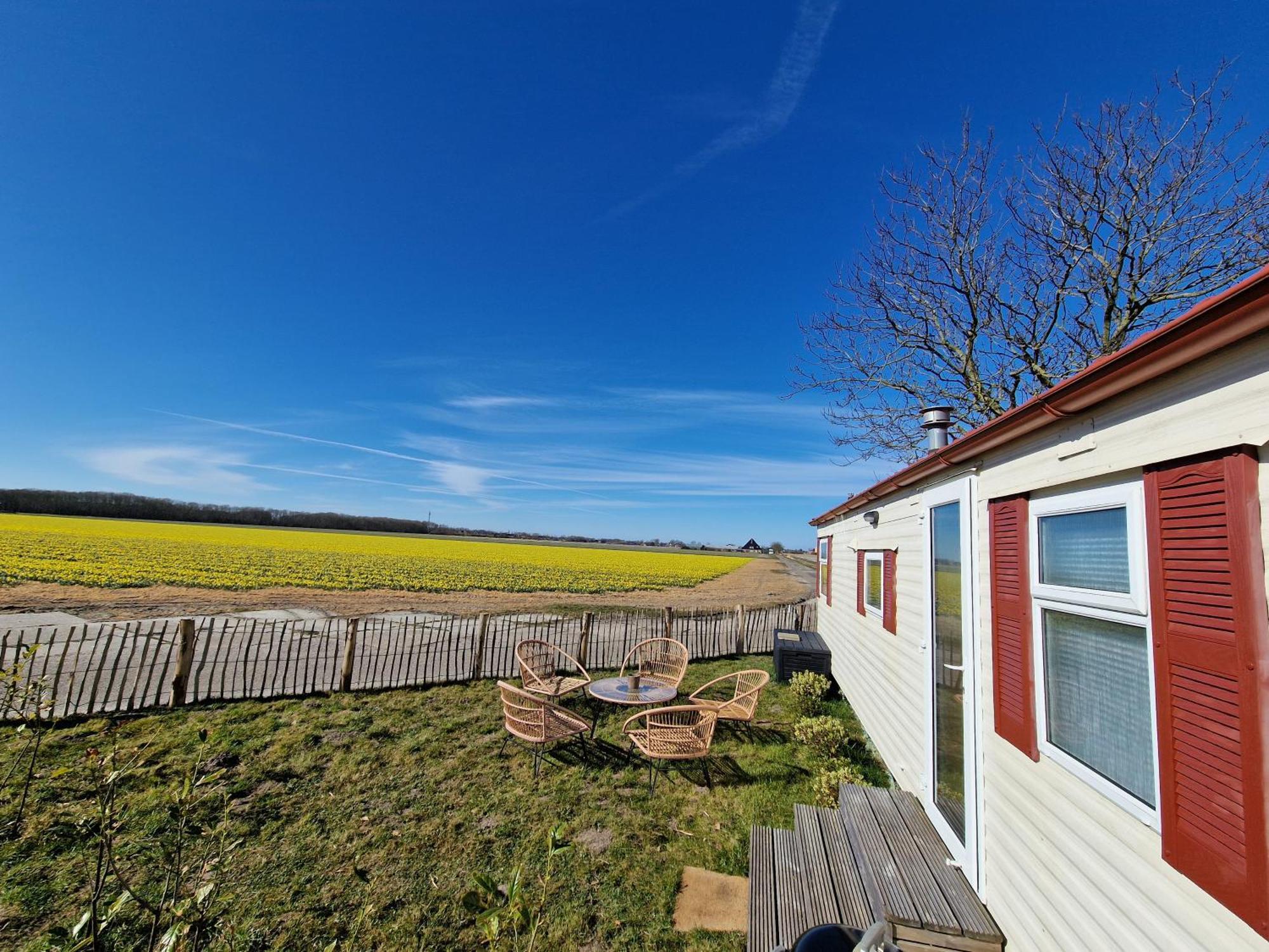Chalet 'Como La Flor' Julianadorp Flowerfields Overview! Luaran gambar