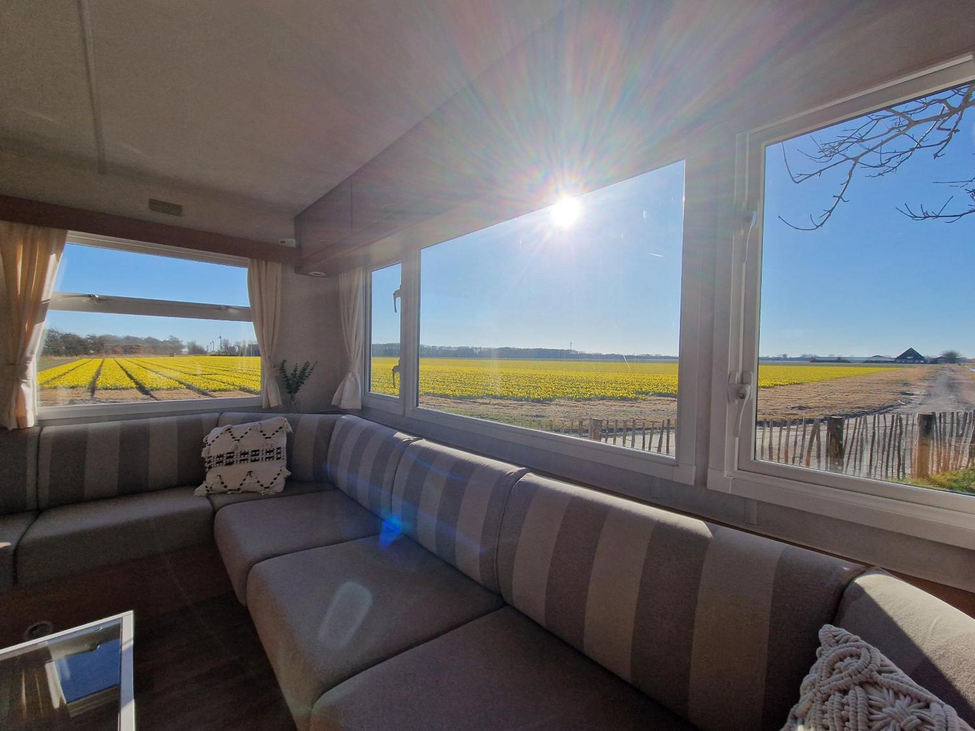 Chalet 'Como La Flor' Julianadorp Flowerfields Overview! Luaran gambar